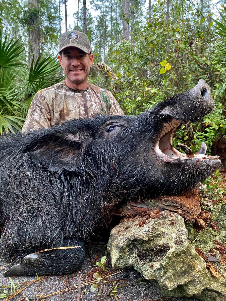 About Black Tine Outfitters florida wild hog hunts